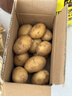 京喜加新鲜黄心土豆农家自种黄皮马铃薯黄心洋芋减脂早餐新鲜蔬菜 黄心土豆 3斤 净重 50g起/单果 实拍图