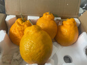 生活＆好管家 四川春见耙耙柑爆浆大果新鲜水果礼盒应季橘子现摘柑橘子桔子 8.5-9斤【性价比高-全家爽吃】净重8斤 果径70-75mm【中果】 实拍图
