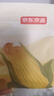京东京造 玉米须茶150g（5g*30袋）【京东自营】独立包装养生茶高无糖 实拍图