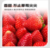 【超值】丹东红颜草莓300g（单果18g） 实拍图