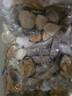 1号会员店海鲜什锦 1斤 轻食火锅食材海鲜贻贝肉虾仁鱿鱼扇贝柱 实拍图