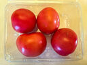 番茄约500g 实拍图
