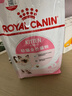 皇家幼猫猫粮 幼猫奶糕 K36 通用粮 4-12月 2KG 实拍图
