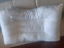 富安娜家纺枕头芯颈椎枕决明子草本枕芯抗菌枕头舒睡一对装74*48cm白 实拍图