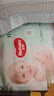 好奇（Huggies）小森林拉拉裤XL32+2片(12-17kg)尿不湿心钻【透氧顶配更低敏】 实拍图
