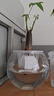 花伴你水培植物玻璃瓶透明玻璃花瓶容器绿萝花盆圆球形鱼缸水养大号器皿 15圆球花瓶-水培 实拍图