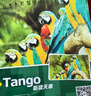 天章 （TANGO）新绿天章 6寸相纸 180g 高光相片纸 照相纸 6寸喷墨照片打印纸 20张/包 实拍图