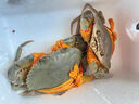 【活蟹】掌昕鲜三门青蟹 生鲜活螃蟹海鲜水产送礼盒装 尝鲜款 公母随机（2只）1斤 实拍图