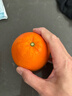 京觅 秭归脐橙纽荷尔 9斤 果径80mm+ 新鲜当季水果生鲜橙子 源头直发 实拍图