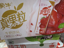 蒙牛真果粒草莓味牛奶饮品250g*12盒 小黄鸭IP 礼盒新老包装 含乳饮料 实拍图