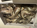 GUO LIAN国联特大号黑虎虾斑节虾无冰盐冻净重2斤20-30只年货送礼海鲜家宴 实拍图
