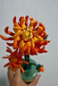 乐高（LEGO）(LEGO)积木拼装40524向日葵组合8支装 实拍图