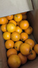 果果牛湖南麻阳冰糖橙 应当季新鲜水果手剥甜橙子高山夏脐血多汁 可选 净重9斤(单果60mm以下)实惠 实拍图