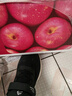 京鲜生 烟台红富士苹果 净重10斤 单果190g以上 生鲜水果 礼盒装 实拍图