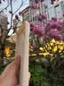 ALittleFlower适用苹果15promax手机壳 iPhone15promax保护套全包镜头彩绘小羊皮男女款硅胶防摔软撞色旅游暴富 实拍图