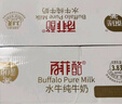 百菲酪水牛纯牛奶3.8g优质乳蛋白130mg高钙200ml*12盒 春节年货送礼盒装 实拍图
