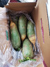 京鲜生天津沙窝萝卜10斤 礼盒 甜脆水果萝卜  青萝卜 地理标志农产品 实拍图