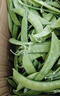 京鲜生 云南新鲜甜豆 带壳食用 清香甜脆 加冰保鲜发货净重5斤源头直发 实拍图