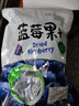 蓝莓干山长白山无添加姆同款正品独立包装大兴安岭特级 【优质大果】大果蓝莓干250g 实拍图