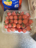 京鲜生 千禧水果小番茄/圣女果 净重2斤 生鲜水果 实拍图
