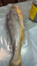 黄小渔宁德三去大黄鱼800g/条净重 黄花鱼生鲜鱼类海鱼海鲜水产年货送礼 实拍图