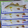 仙泉湖三去斑点尾鲈鱼1斤单条净膛后冷冻肉厚刺少 海鲜水产生鲜食材年货 实拍图