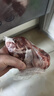 鲜京采进口原切去骨羊后腿肉4斤 烧烤炖煮食材 羊肉 京东自有品牌 实拍图