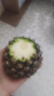 正宗海南金钻凤梨新鲜水果当季树上熟芒果凤梨【催熟食用】 1粒装单果500g-650g【7成熟，催熟再吃】 实拍图