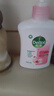 滴露（Dettol）洗手液滋润250g 儿童洗手液抑菌消毒宝宝 水润补充装尝鲜 实拍图