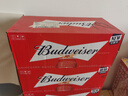 百威啤酒TOP淡色拉格450ml*18听整箱装京东自营年货送礼新老包装混发 实拍图