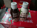 旺旺每日喝牛奶 巧克力风味 245ml*15瓶 儿童牛奶 送礼佳品年货礼盒装 实拍图
