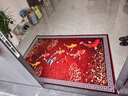 星晚入户进门口3D地垫玄关客厅防滑耐脏毯子免洗蹭灰踩脚垫可裁剪定制 九鱼招财 140*200cm 实拍图