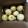 京喜加广西钦蜜9号黄金百香果青果发货当季新鲜大果黄皮果奶茶店水果 【1斤 约11-17个】单果30-45g 实拍图