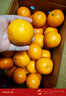 果果牛湖南麻阳冰糖橙 应当季新鲜水果手剥甜橙子高山夏脐血多汁 可选 净重9斤(单果60mm以下)实惠 实拍图