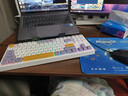 AOCGK168键盘 87键 机械手感 轻音按键 有线键盘鼠标套装19键无冲电脑办公笔记本 87键【雨烟紫】 实拍图