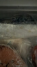 禧美海产 冷冻挪威青花鱼净重2斤/袋 整鱼2-3条 鲭鱼 烧烤食材  海鲜水产 实拍图