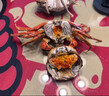 【活蟹】阳澄联合鲜活大闸蟹公5.0-5.3两 母4.0-4.3两 4对8只螃蟹年货礼盒源头直发 实拍图