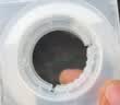 海龙王【强拉力耐撕咬】纯碳素线碳线前导线耐磨路亚前导线碳线鱼线子线 实拍图