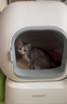霍曼（Homerun）智能自动猫砂盆猫厕所全封闭自动铲屎机一键补砂清砂特大号 实拍图