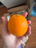 褚橙旗下云冠橙褚时健励志橙子云南冰糖橙10斤礼盒当季新鲜水果 京东空运L优级10斤礼盒【32个左右】 实拍图