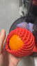 京鲜生 四川爱媛38号果冻橙 净重5斤 单果130g起 生鲜水果柑橘年货礼盒 实拍图
