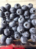 怡颗莓Driscoll's 云南蓝莓14mm+ 4盒装 约125g/盒 新鲜水果 实拍图