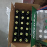 青岛啤酒（TsingTao）经典啤酒 316ml*24瓶 整箱装 年货送礼 实拍图