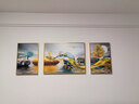Sixpoetry 客厅装饰画现代简约沙发背景墙壁画轻奢三联晶瓷画大气高档挂画 福禄双收（铝合金外框） 晶瓷画左右40*60+中间80*60亮面 实拍图