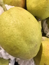 京鲜生 新疆库尔勒香梨 净重8斤 单果140g以上 生鲜水果 礼盒装 实拍图