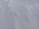 【东北专供】旅游滑雪加绒加厚保暖男女防风防水冲锋裤防寒棉裤 零下30°C可穿/加棉加绒粉红色 M[建议105-125斤] 实拍图