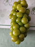 京鲜生 阳光玫瑰葡萄 青提6斤年货礼盒装 单果约10g 生鲜水果 实拍图