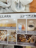 CLARA【价保618】可莱养生壶全玻璃恒温壶煮茶壶煮茶器1L办公室必备家用花茶壶烧水壶玻璃炖盅款 实拍图