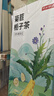 京东京造  菊苣栀子茶150g(5g*30袋)泡水喝养生茶茶叶团购 实拍图