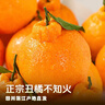京觅四川不知火丑橘丑柑5斤单果75mm+生鲜水果源头直发2月24号后发货 实拍图